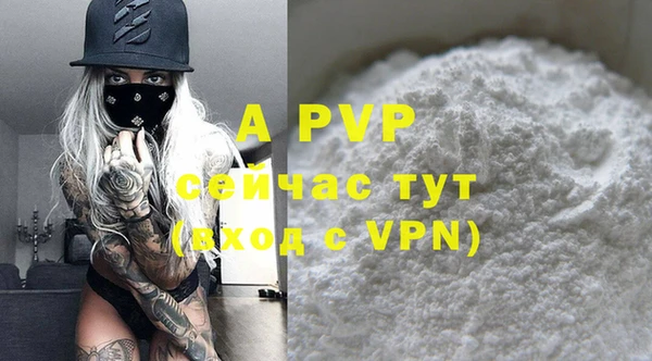 дмт Белокуриха