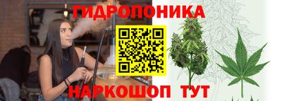 индика Малоярославец