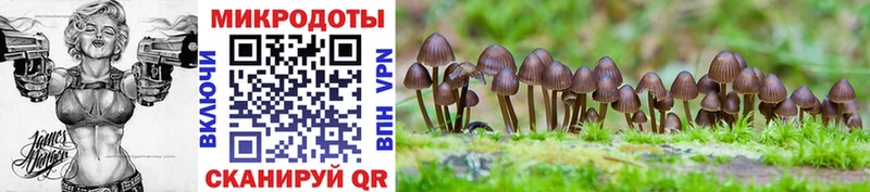 Псилоцибиновые грибы GOLDEN TEACHER где можно купить Буйнакск
