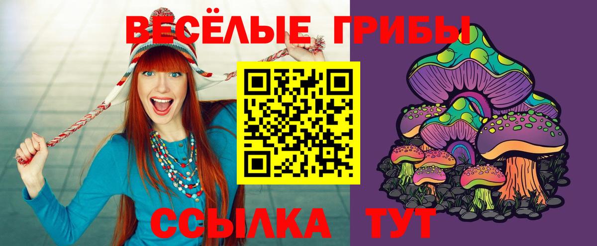 купить   Галлюциногенные грибы Cubensis  Вход с VPN  Буйнакск 